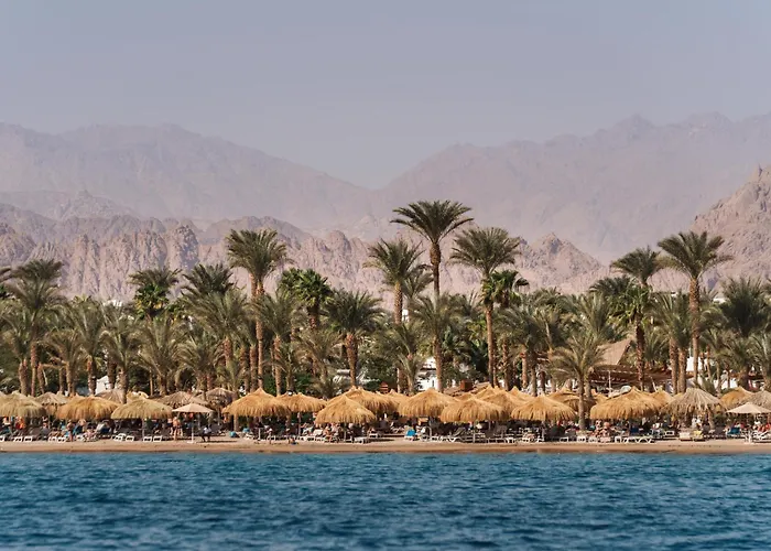 Hotel Jaz Sharm Dreams